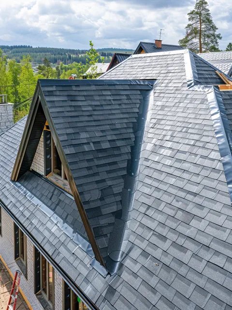 Shingle Roofing